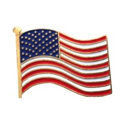 USA Flag pin