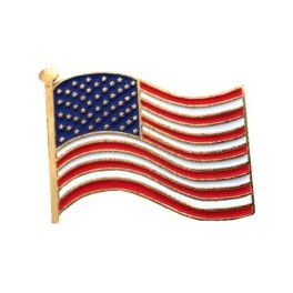 USA Flag pin
