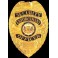 Badge "Security Enforcement Officer"